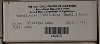 Image Associated With the Occurence